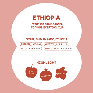 Ethiopia, Gesha - Seasonal Coffee เมล็ดกาแฟคั่ว | The Summer Coffee Company
