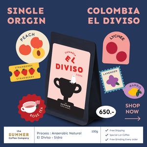 Special Lot Coffee เมล็ดกาแฟคั่ว - Colombia - El Diviso - Sidra