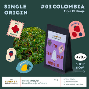 Special Lot Coffee เมล็ดกาแฟคั่ว - Colombia - El Obraje